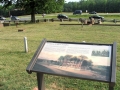 Chancellorsville022