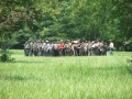 Lake County IL Civil War Days - 2006