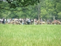 Lake County IL Civil War Days - 2006